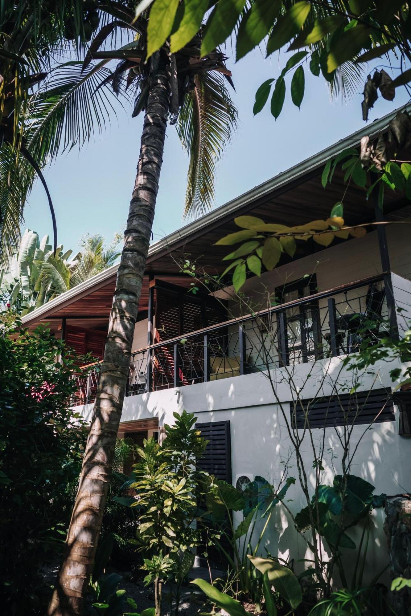 Conga Boutique Hotel Puerto Viejo de Talamanca Exterior foto