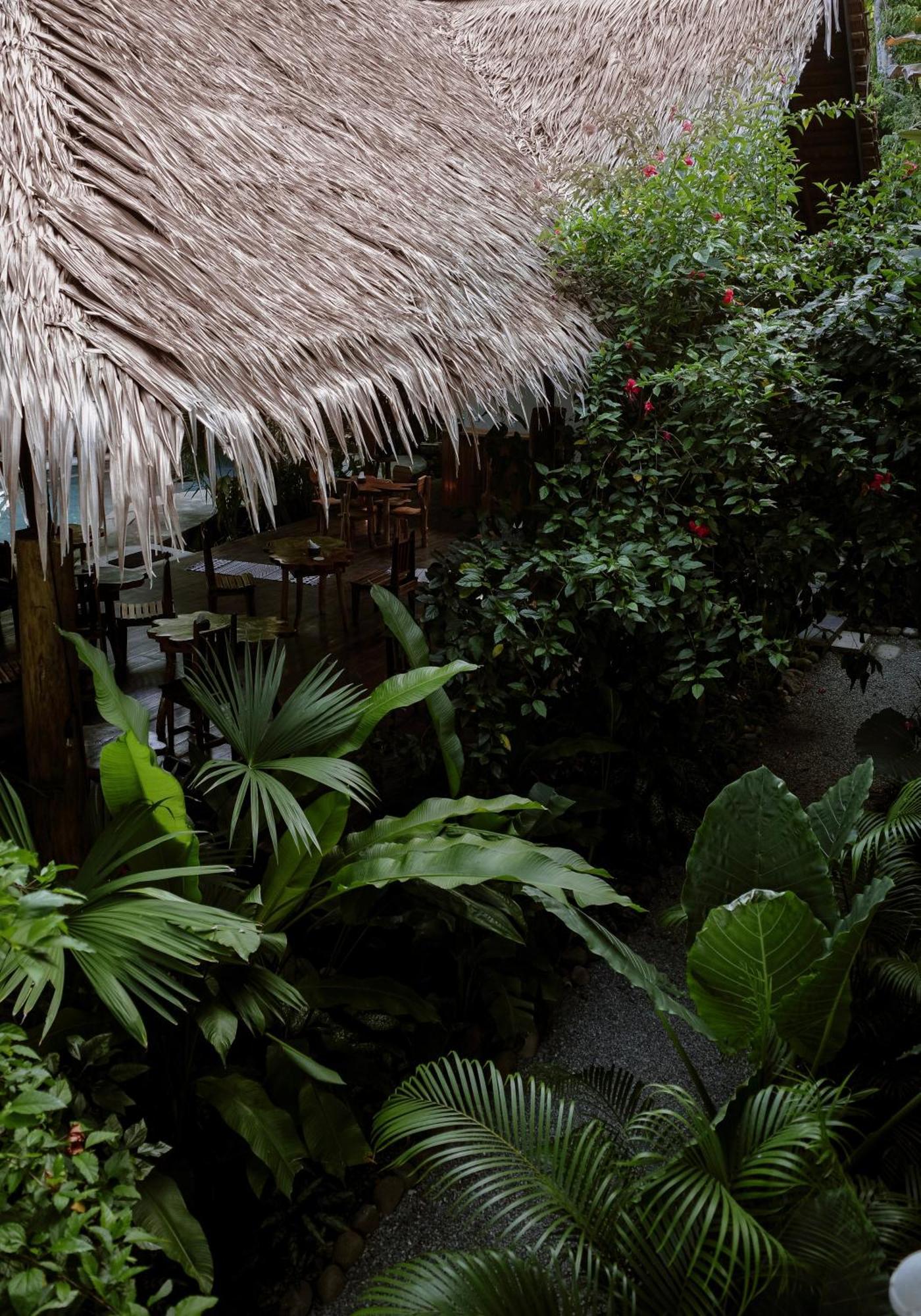 Conga Boutique Hotel Puerto Viejo de Talamanca Exterior foto